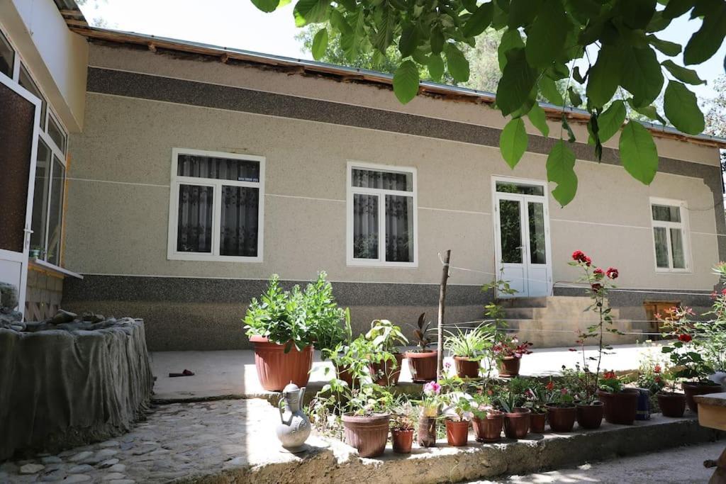 Forest Guest House Mirzakishlak Exteriér fotografie